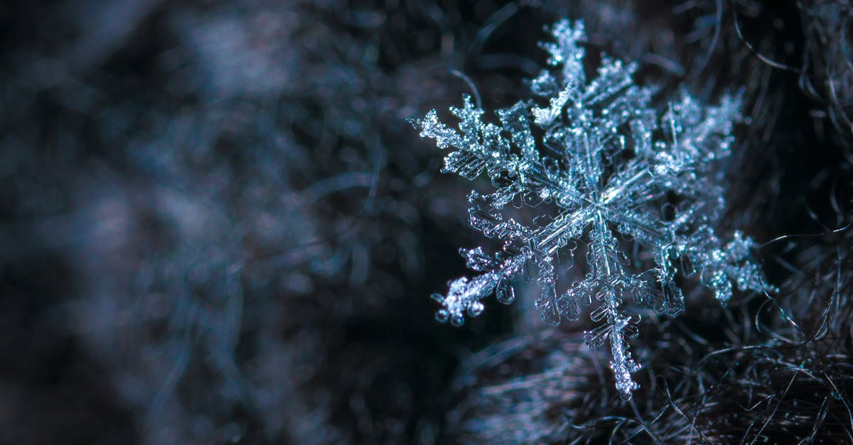8 Advantages of Using Scroll Chillers in Commercial Settings
